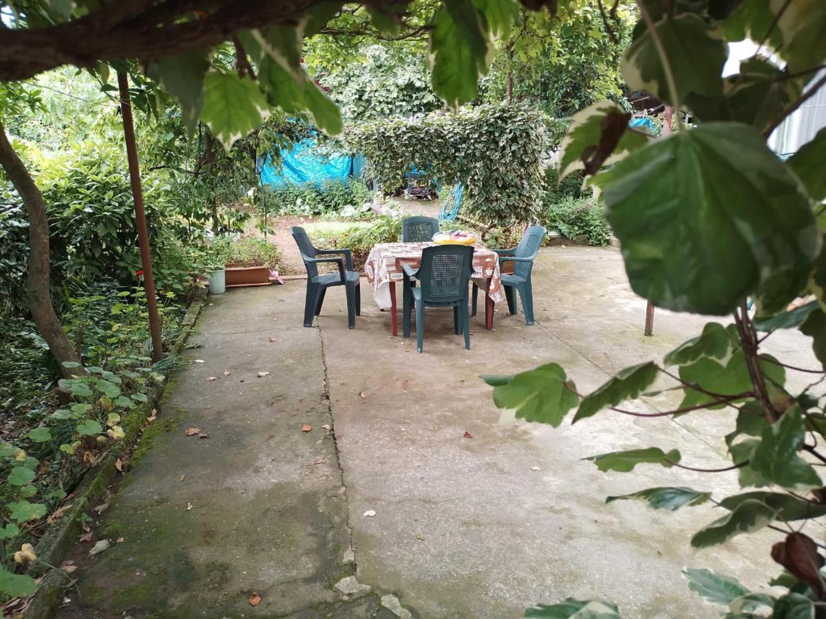 Merabi And Neli Guest House Makhinjauri Εξωτερικό φωτογραφία