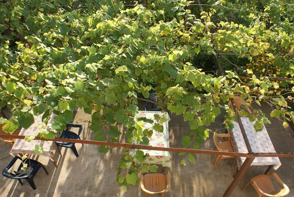Merabi And Neli Guest House Makhinjauri Δωμάτιο φωτογραφία