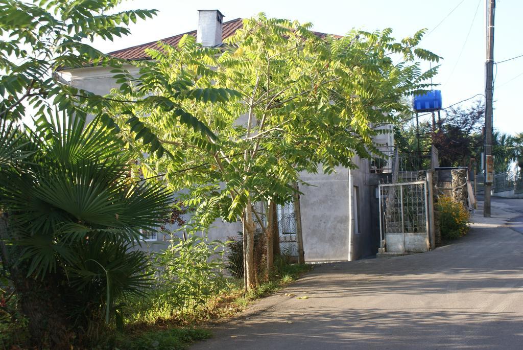 Merabi And Neli Guest House Makhinjauri Εξωτερικό φωτογραφία